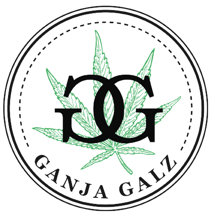 293863440_798424561314794_2561128922575332697_n